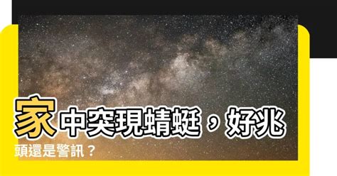 家裡飛來蜻蜓|【家裡出現蜻蜓代表什麼】家中突現蜻蜓，好兆頭還是警訊？